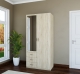  Шкаф с распашными дверями  Comfort (980х580) 2D3S